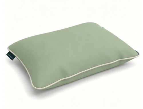 Sage Grove Inflatable Pool Pillow